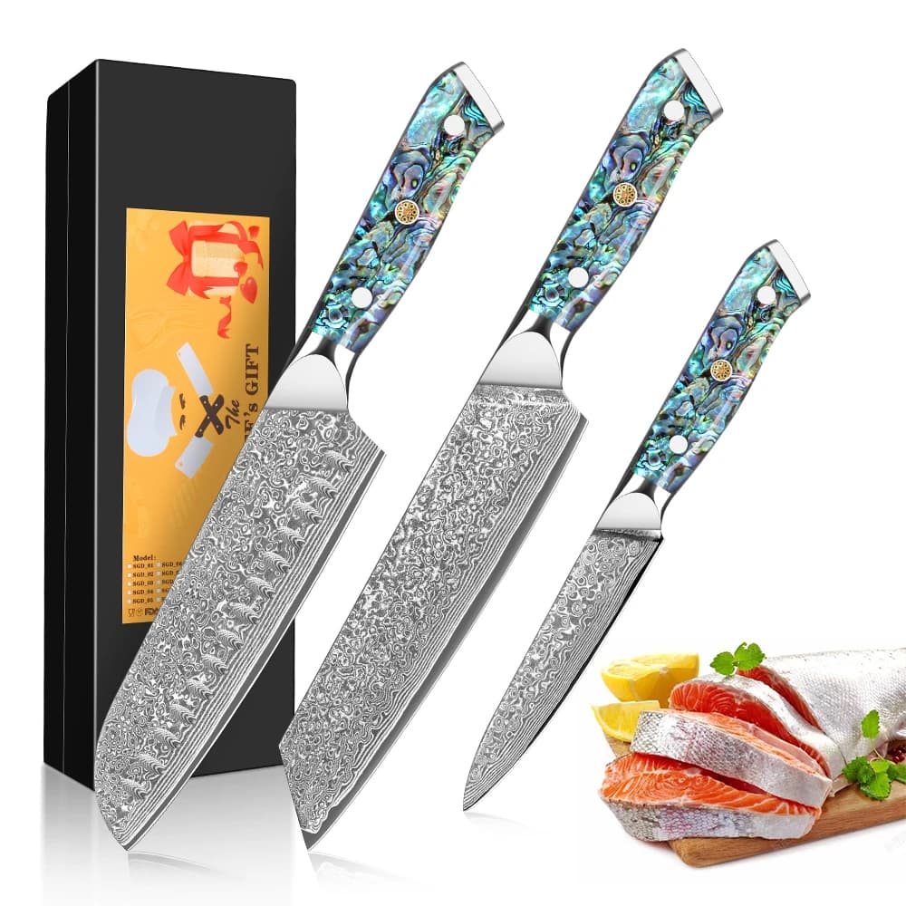 3pcs Damascus Kitchen Knife Set, Meat Cutter Kitchen Knife VG 10 Damascus Steel Knife,Stainless Steel Kitchen Knife Set