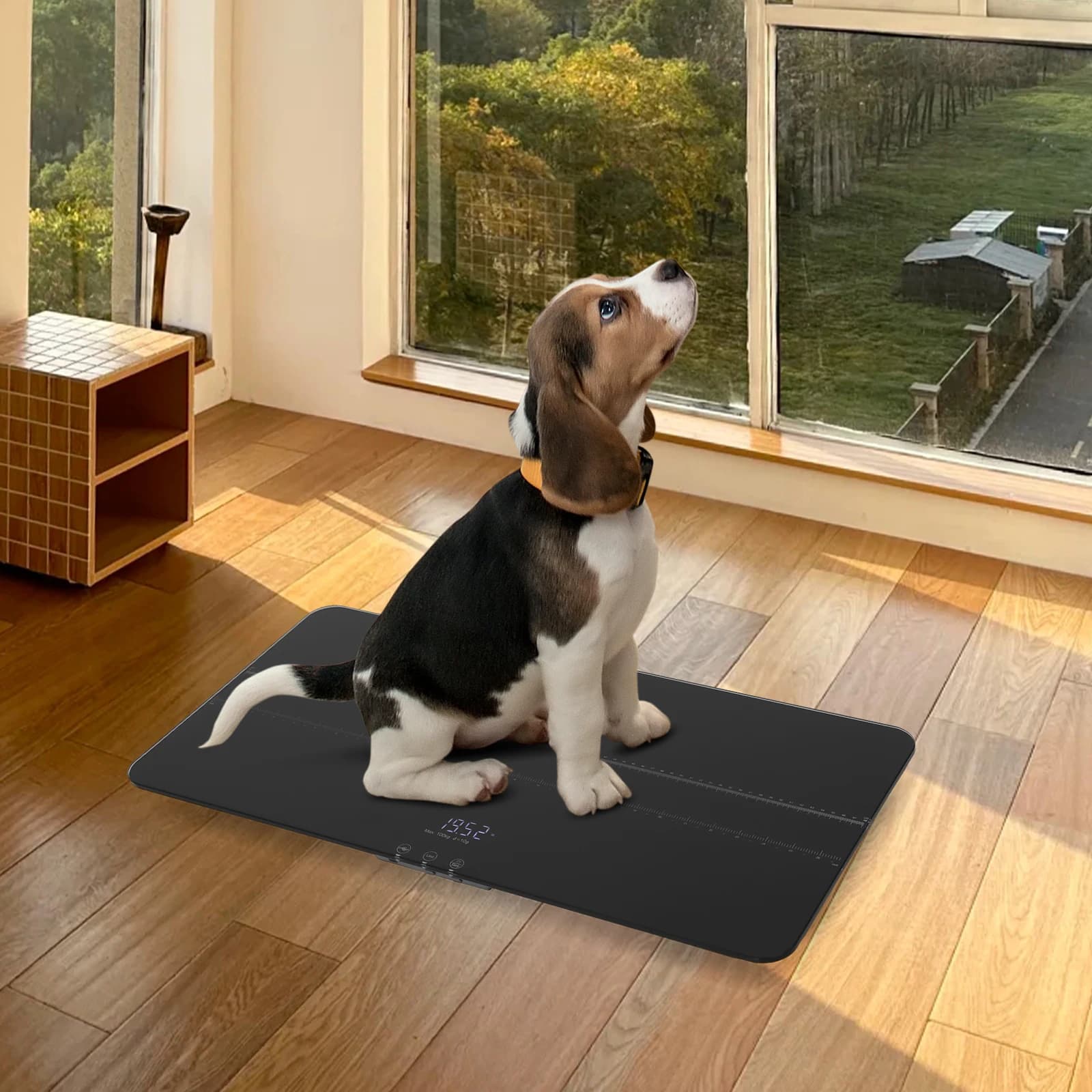 Digital Pet Scale W/LED Display Measure Pet Weight & Length Home Vet Dog Scale Cat Scale High Precision Digital Pet Weight Scale